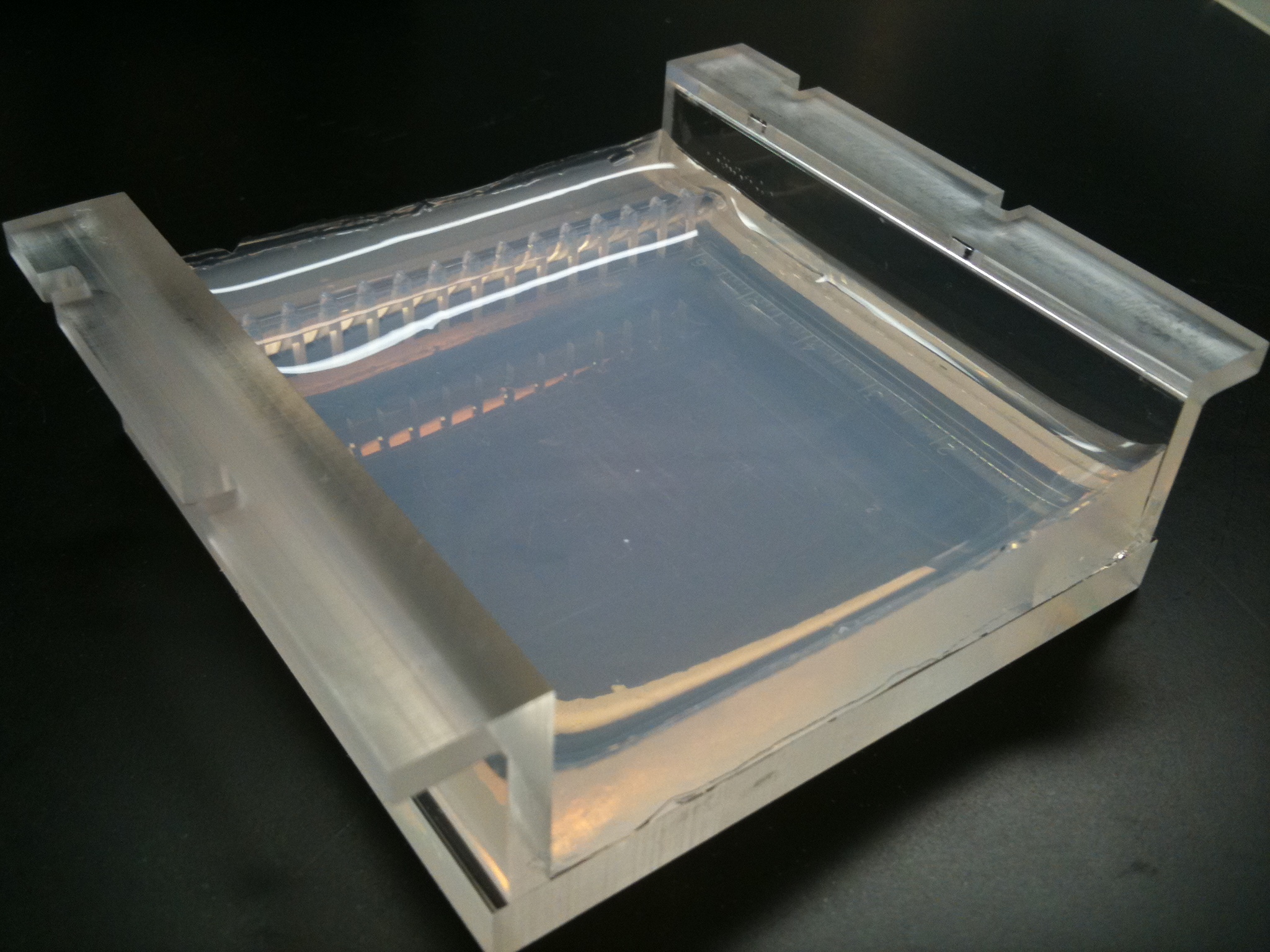 agarose gel in a gel plate